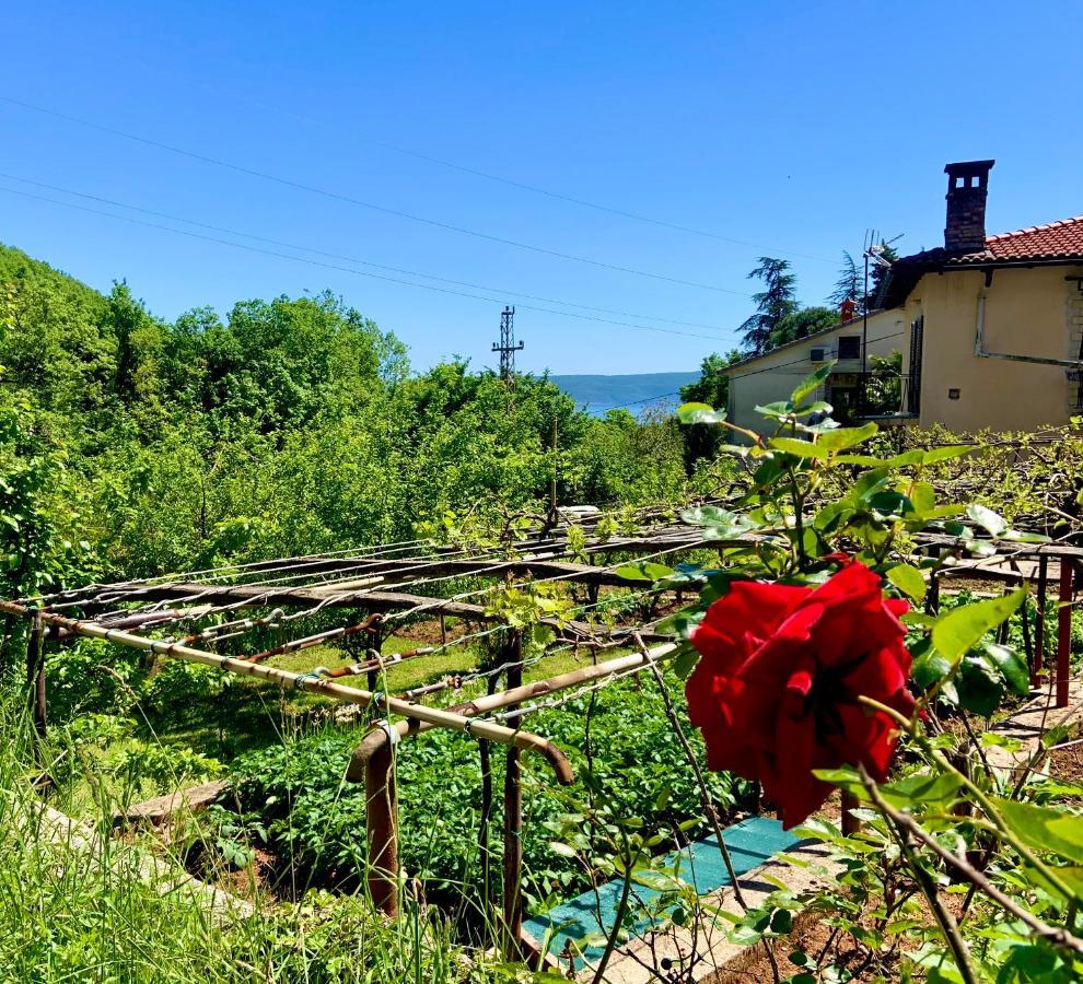 Villa Flamingo Мощеницька Драга Екстер'єр фото